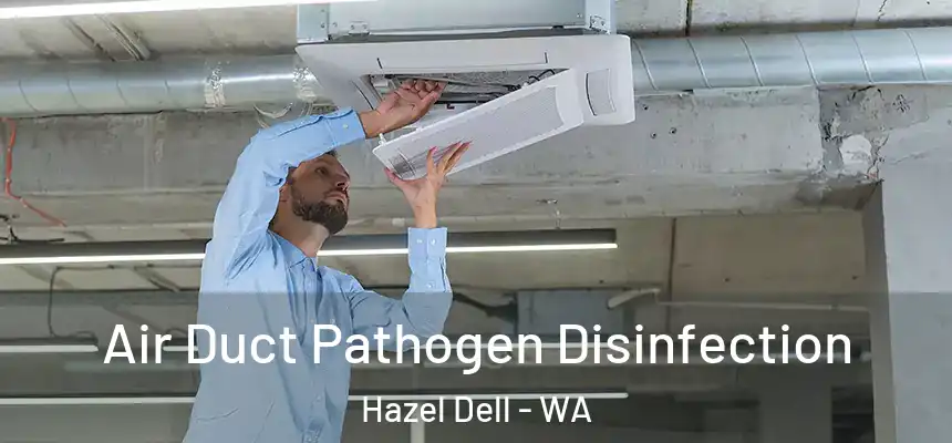  Air Duct Pathogen Disinfection Hazel Dell - WA