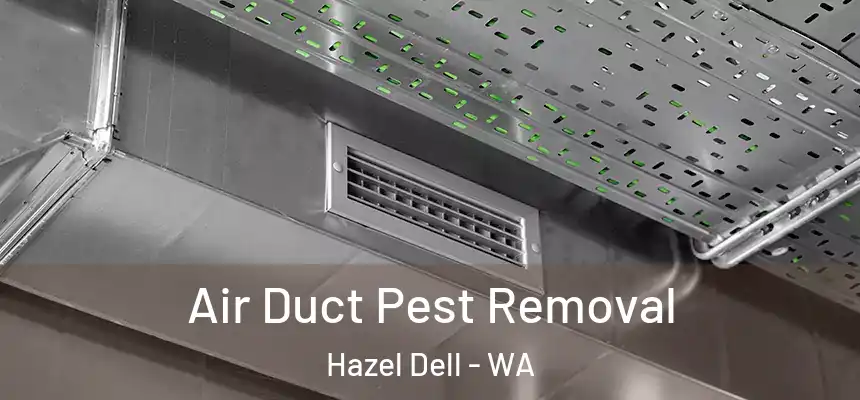  Air Duct Pest Removal Hazel Dell - WA