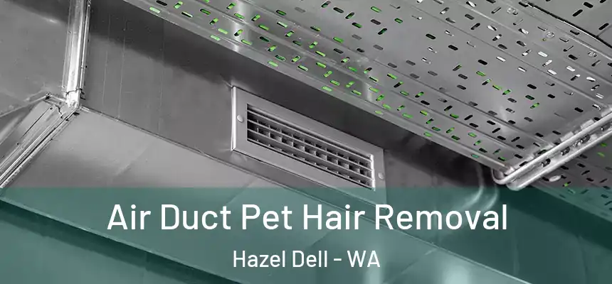  Air Duct Pet Hair Removal Hazel Dell - WA