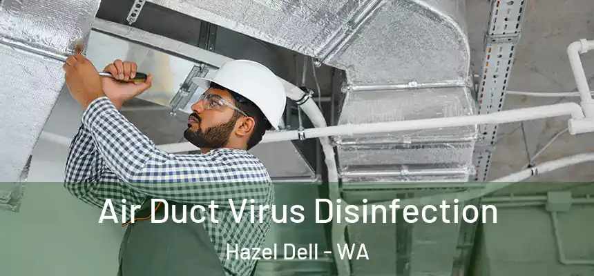  Air Duct Virus Disinfection Hazel Dell - WA