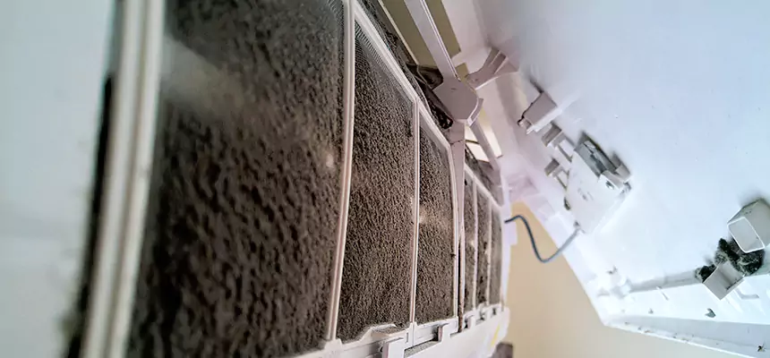 Preventive Air Duct Bacteria Removal in Hazel Dell