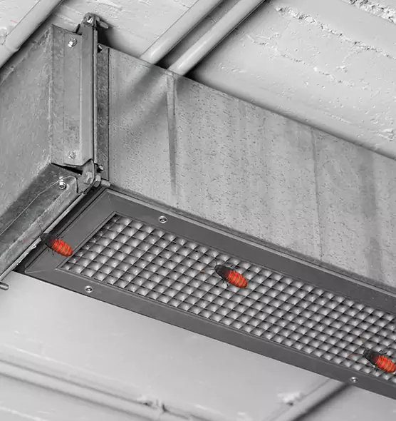 About Air Duct Cockroach Removal in Hazel Dell, WA