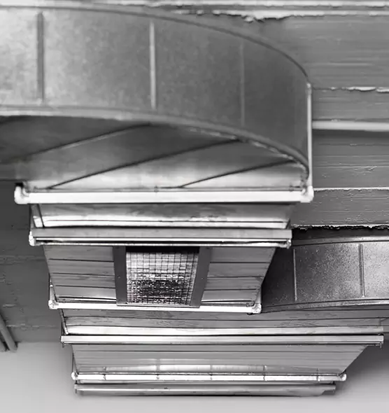 Professional Air Duct Pet Hair Removal in Hazel Dell, WA