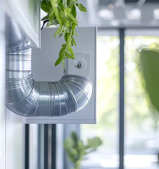 Professional Eco-Friendly Duct Cleaning Services in Hazel Dell, WA