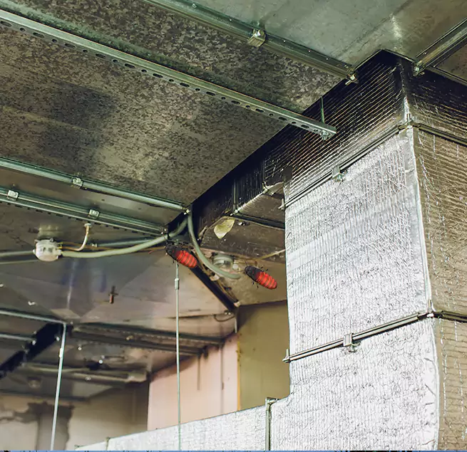 Why Homeowners & Businesses Trust Us in Hazel Dell, WA?