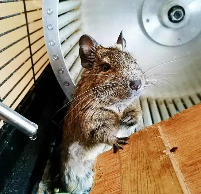 Why Homeowners & Businesses Trust Us Hazel Dell, WA